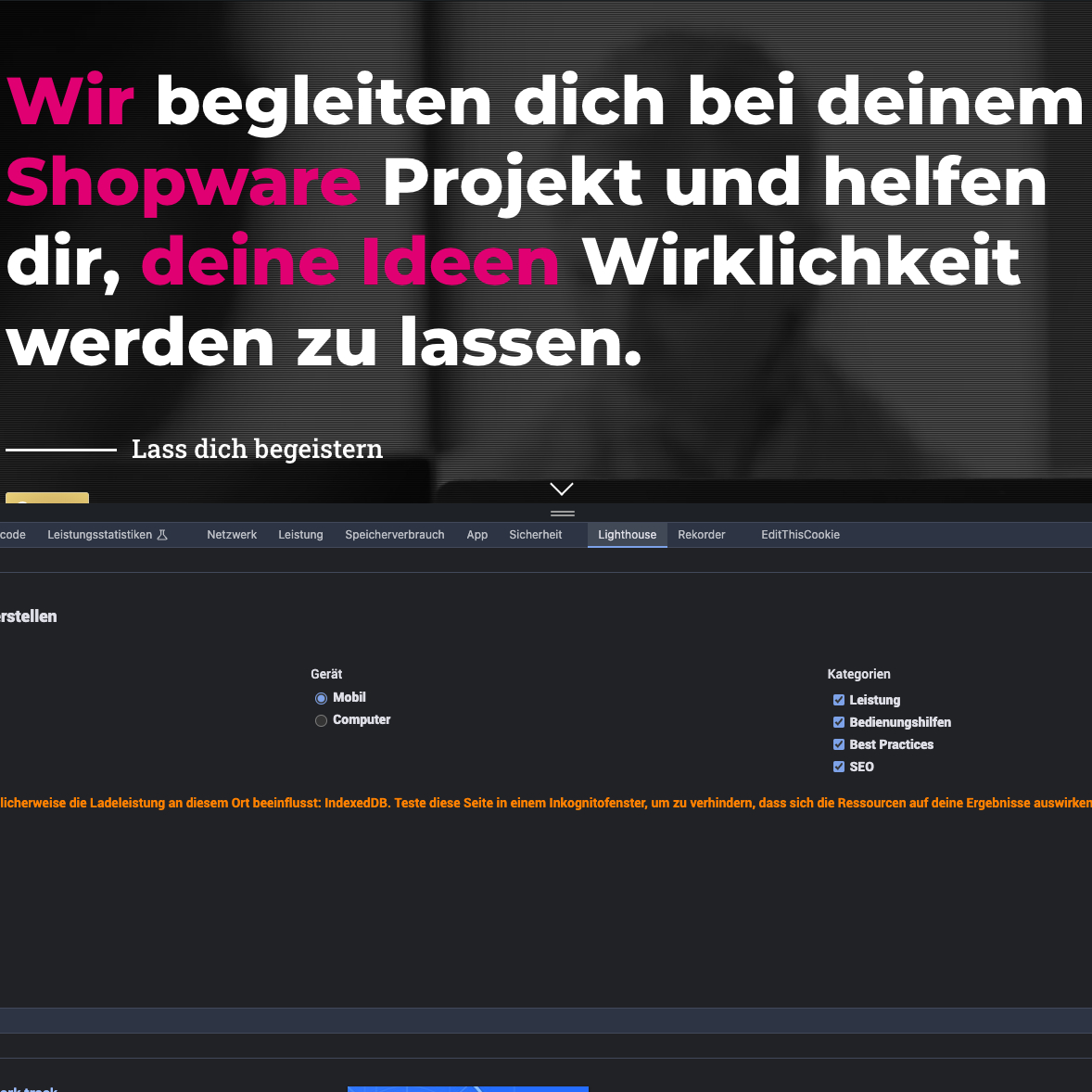 Screenshot aus den Entwicklertools