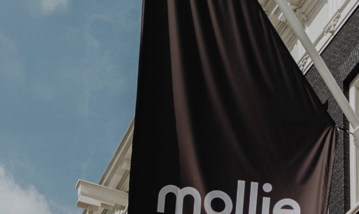 Der Mollie Leitfaden für Shopware Shops