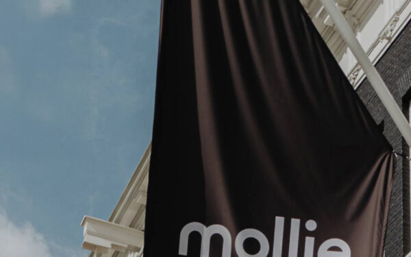 Der Mollie Leitfaden für Shopware Shops